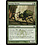 Magic: The Gathering Drudge Beetle (122) Lightly Played