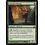 Magic: The Gathering Centaur's Herald (118) Moderately Played Foil