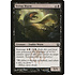Magic: The Gathering Terrus Wurm (080) Lightly Played
