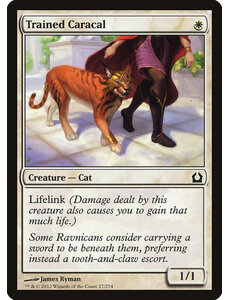 Magic: The Gathering Trained Caracal (027) Lightly Played