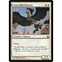 Magic: The Gathering Concordia Pegasus (008) Lightly Played
