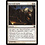 Magic: The Gathering Survival Cache (048) Moderately Played