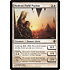 Magic: The Gathering Hedron-Field Purists (025) Moderately Played