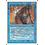 Magic: The Gathering Power Leak (072) Moderately Played