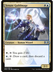 Magic: The Gathering Senate Guildmage (204) Near Mint