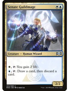 Magic: The Gathering Senate Guildmage (204) Near Mint