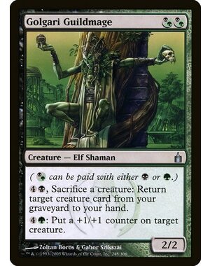Magic: The Gathering Golgari Guildmage (248) Lightly Played