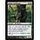 Magic: The Gathering Golgari Guildmage (248) Lightly Played