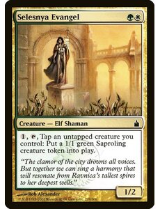 Magic: The Gathering Selesnya Evangel (228) Lightly Played