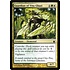 Magic: The Gathering Guardian of Vitu-Ghazi (212) Moderately Played