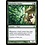 Magic: The Gathering Vinelasher Kudzu (189) Heavily Played