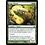 Magic: The Gathering Siege Wurm (183) Lightly Played