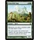 Magic: The Gathering Primordial Sage (177) Lightly Played