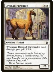 Magic: The Gathering Dromad Purebred (015) Lightly Played