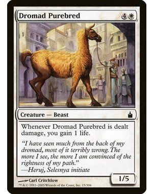 Magic: The Gathering Dromad Purebred (015) Moderately Played