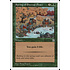 Magic: The Gathering Spring of Eternal Peace (148) Near Mint