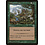 Magic: The Gathering Winter's Grasp (194) Lightly Played
