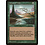 Magic: The Gathering Untamed Wilds (191) Lightly Played