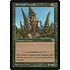 Magic: The Gathering Redwood Treefolk (183) Lightly Played