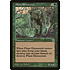 Magic: The Gathering Plant Elemental (181) Lightly Played