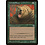 Magic: The Gathering Grizzly Bears (169) Lightly Played