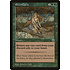 Magic: The Gathering Elven Cache (164) Lightly Played
