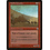 Magic: The Gathering Wall of Granite (155) Lightly Played