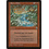 Magic: The Gathering Rain of Salt (147) Lightly Played