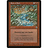 Magic: The Gathering Rain of Salt (147) Lightly Played