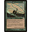 Magic: The Gathering Quirion Dryad (089) Lightly Played