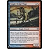 Magic: The Gathering Noggle Hedge-Mage (237) Near Mint
