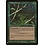 Magic: The Gathering Willow Dryad (197) Near Mint