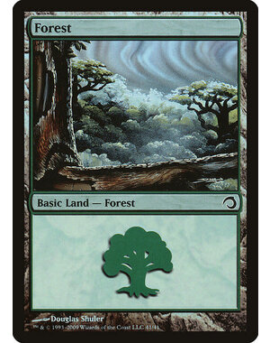 Magic: The Gathering Forest (041) Lightly Played Foil
