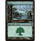 Magic: The Gathering Forest (041) Lightly Played Foil