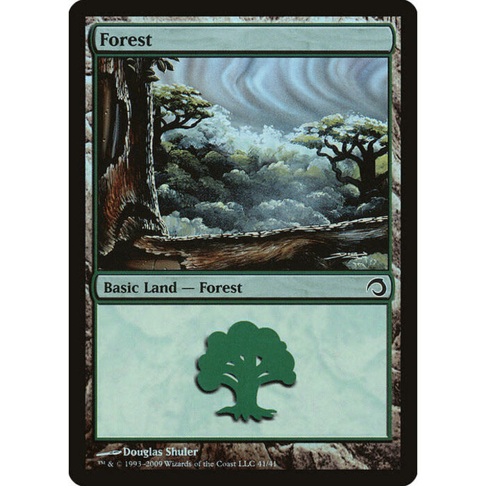 Magic: The Gathering Forest (041) Lightly Played Foil