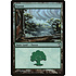 Magic: The Gathering Forest (041) Lightly Played Foil