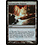 Magic: The Gathering Terramorphic Expanse (034) Lightly Played Foil
