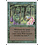 Magic: The Gathering Wild Growth (230) Moderately Played