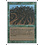 Magic: The Gathering Wall of Wood (226) Lightly Played