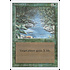 Magic: The Gathering Stream of Life (217) Lightly Played