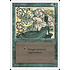 Magic: The Gathering Regeneration (213) Moderately Played