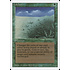 Magic: The Gathering Lifelace (208) Lightly Played