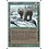 Magic: The Gathering Grizzly Bears (201) Lightly Played
