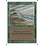 Magic: The Gathering Hurricane (202) Lightly Played