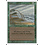 Magic: The Gathering Hurricane (202) Moderately Played