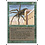 Magic: The Gathering Giant Spider (200) Lightly Played