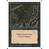 Magic: The Gathering Evil Presence (110) Lightly Played