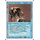 Magic: The Gathering Unstable Mutation (086) Moderately Played