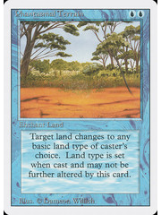Magic: The Gathering Phantasmal Terrain (070) Lightly Played