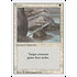 Magic: The Gathering Lance (027) Lightly Played